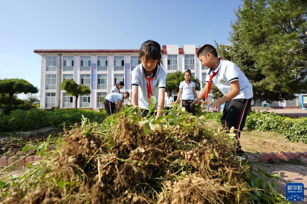 万美娱乐登录